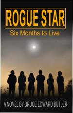 ROGUE STAR small 1